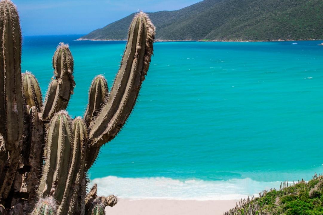Top 6 activités à Arraial do Cabo, ville côtière du Rio de Janeiro 9 Le calme du coucher de soleil sur la plage Praia do Forno, baignée par une lumière douce et des eaux translucides.