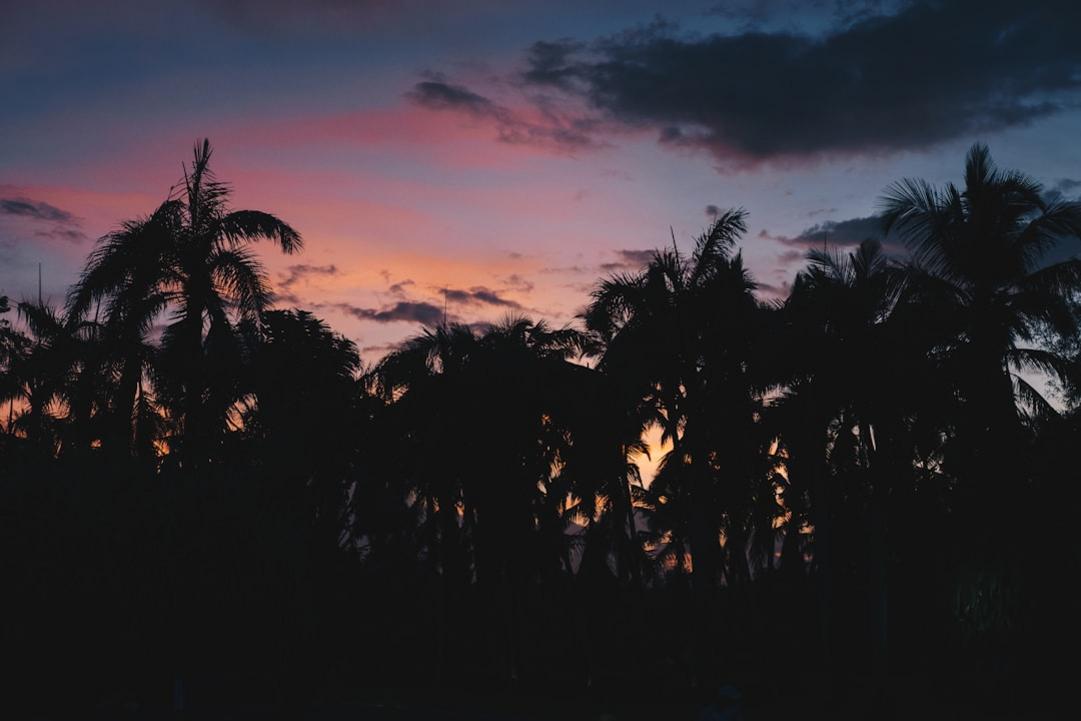 Budget voyage République dominicaine : clarté pour votre séjour caribéen 3 Aperçu du voyage en République dominicaine