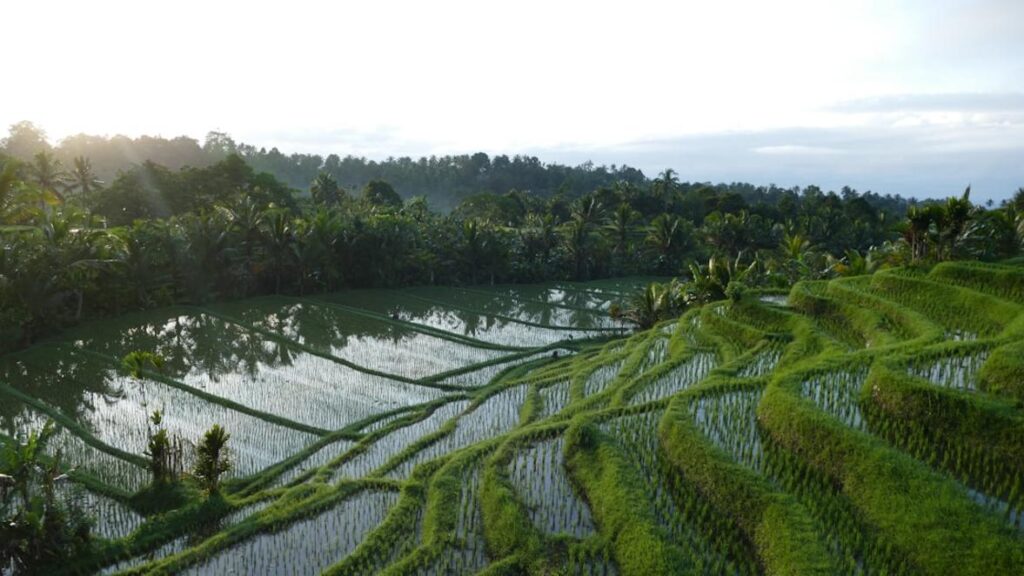 packing list Indonesia - overview
