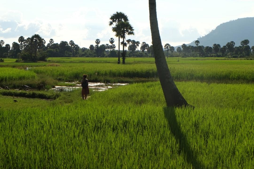 Cambodia - April