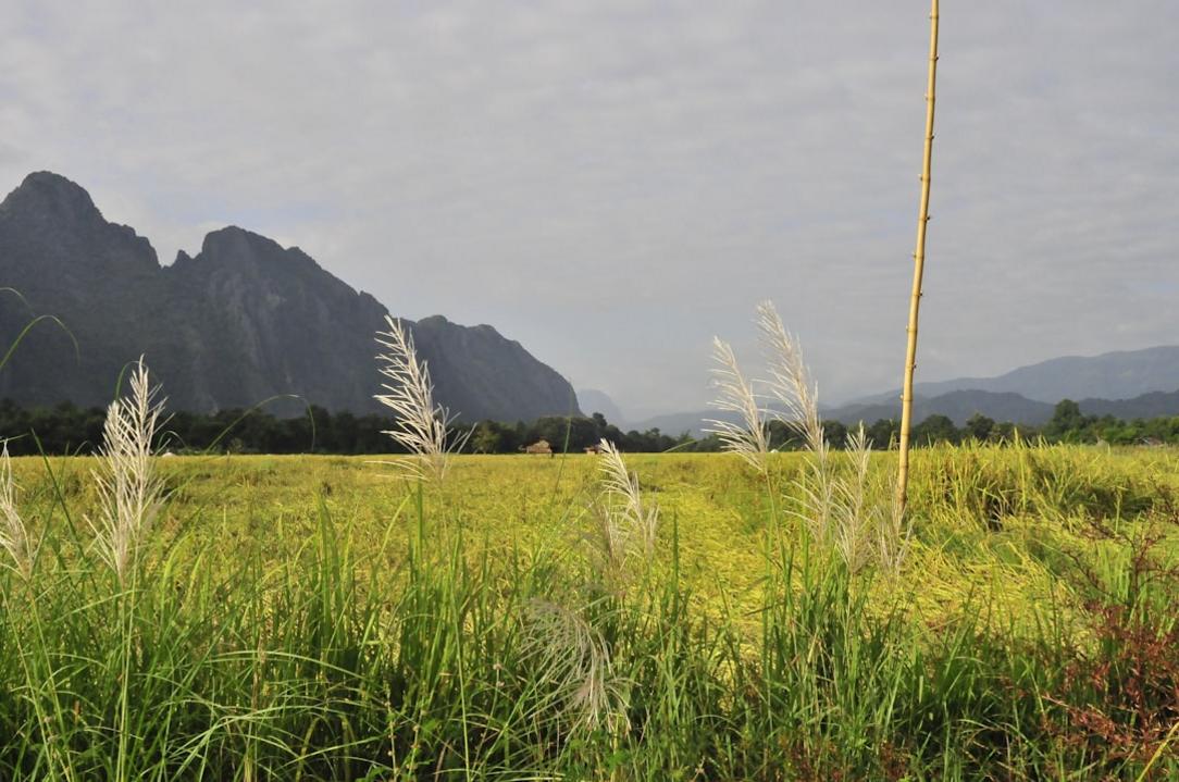 Laos - June