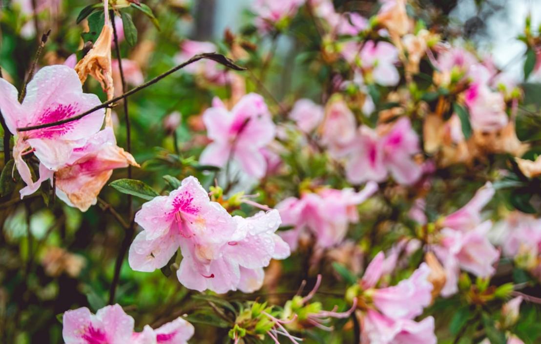 Taiwan - seasonal atmosphere