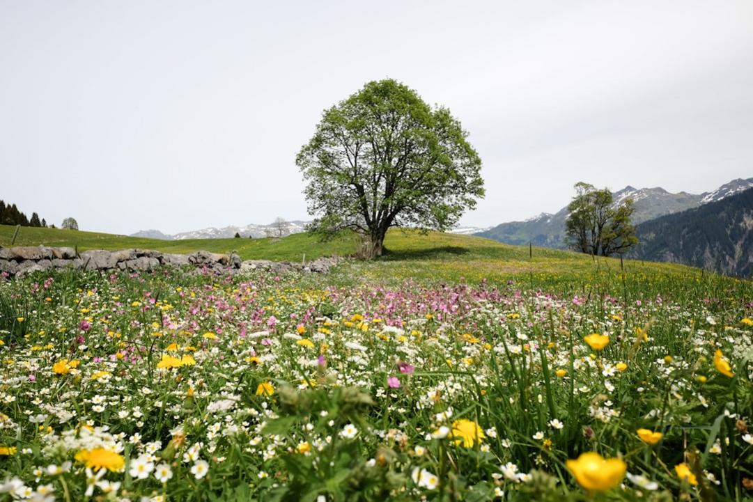 Azerbaijan national parks