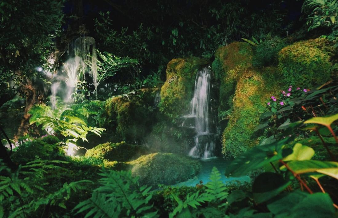 The 15 Best National Parks in India: Focus on Wildlife Sightings 9 India national parks