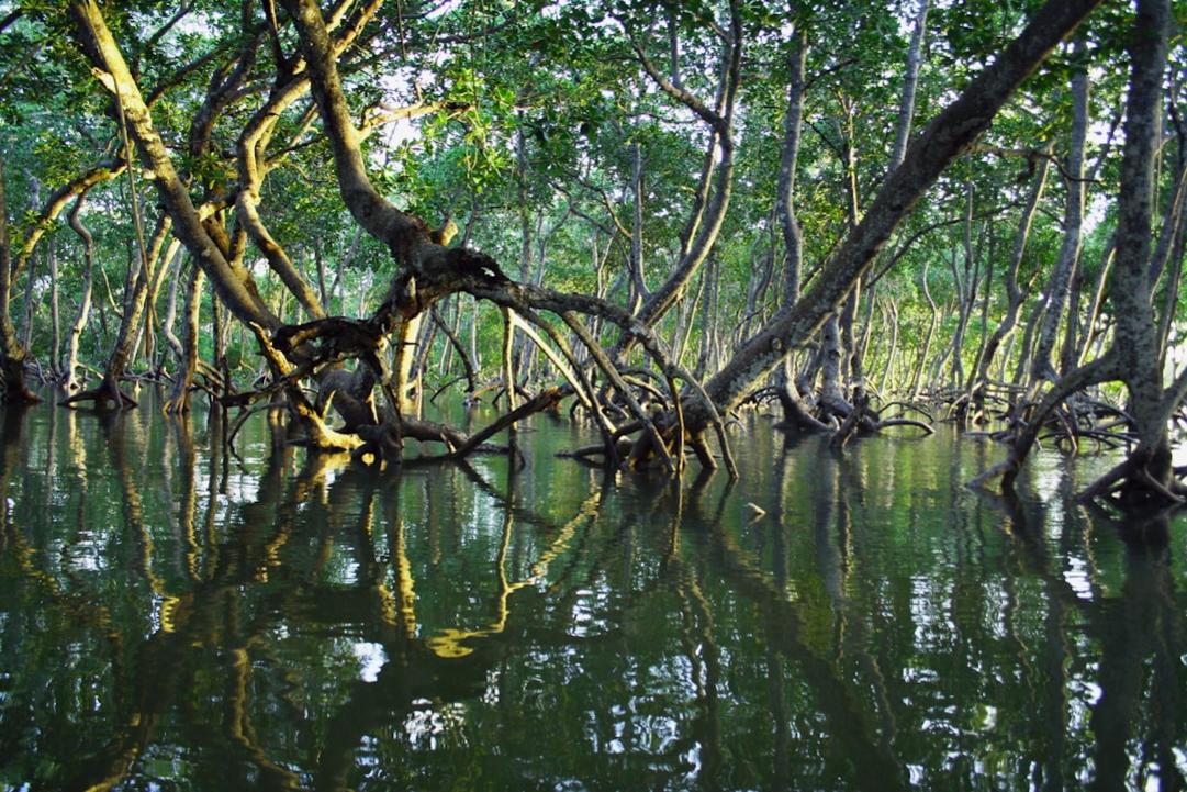 The 15 Best National Parks in India: Focus on Wildlife Sightings 7 India national parks