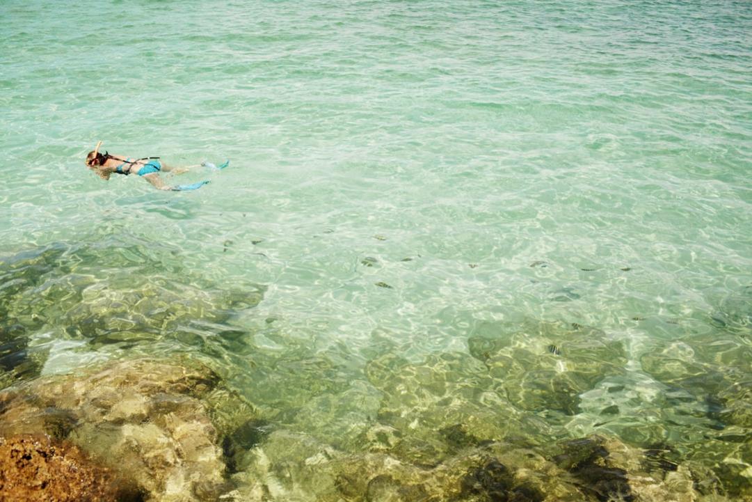 Snorkeling en Jamaïque : récifs protégés et eaux claires 15 Jamaica snorkeling
