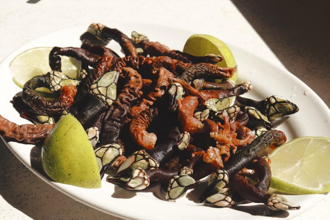 6 Things to do in La Pedrera, a clifftop beach village near La Paloma 5 La Pedrera food