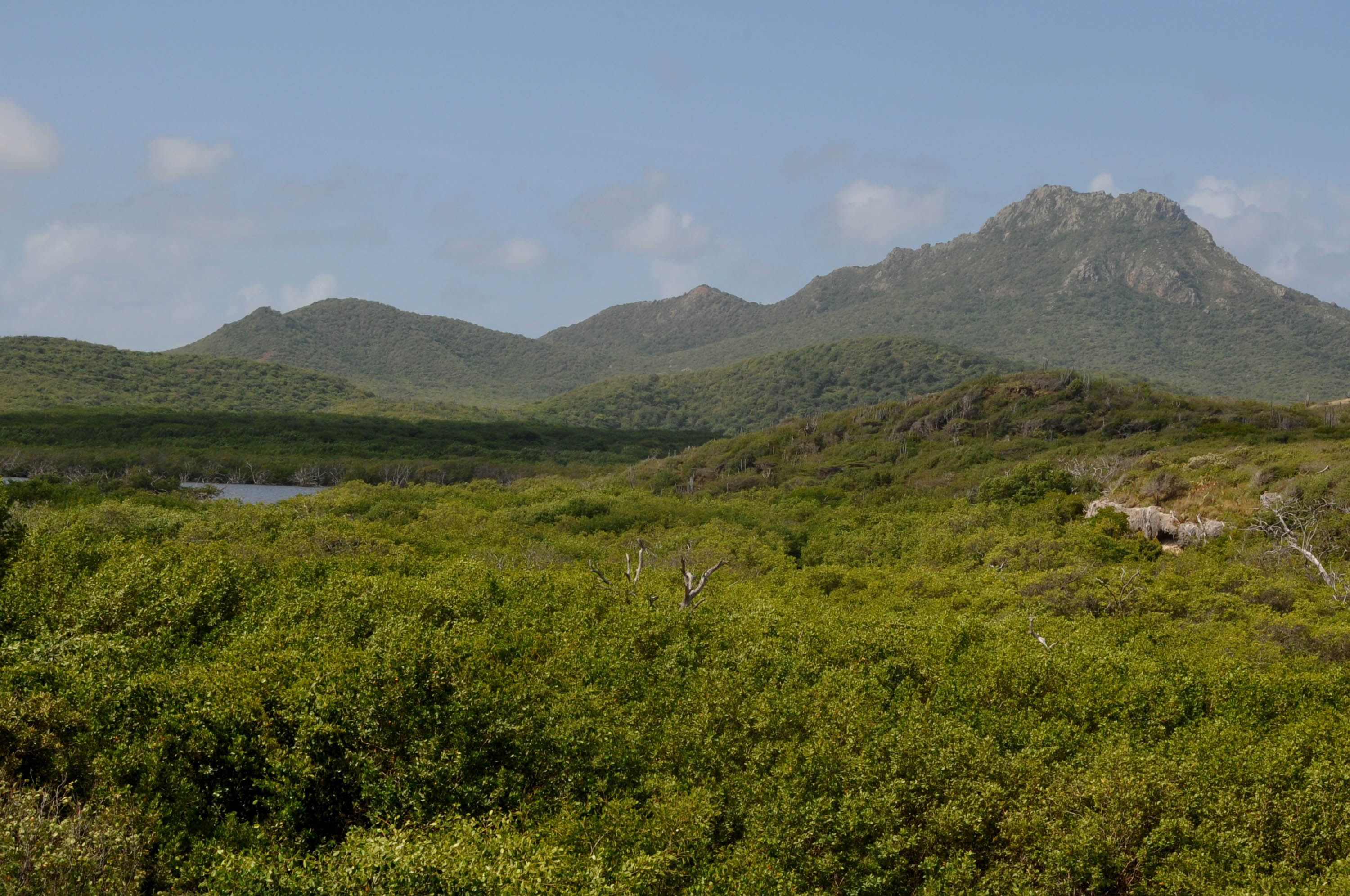 Christoffelberg, Curaçao's highest peak, seen from Christoffel National Park