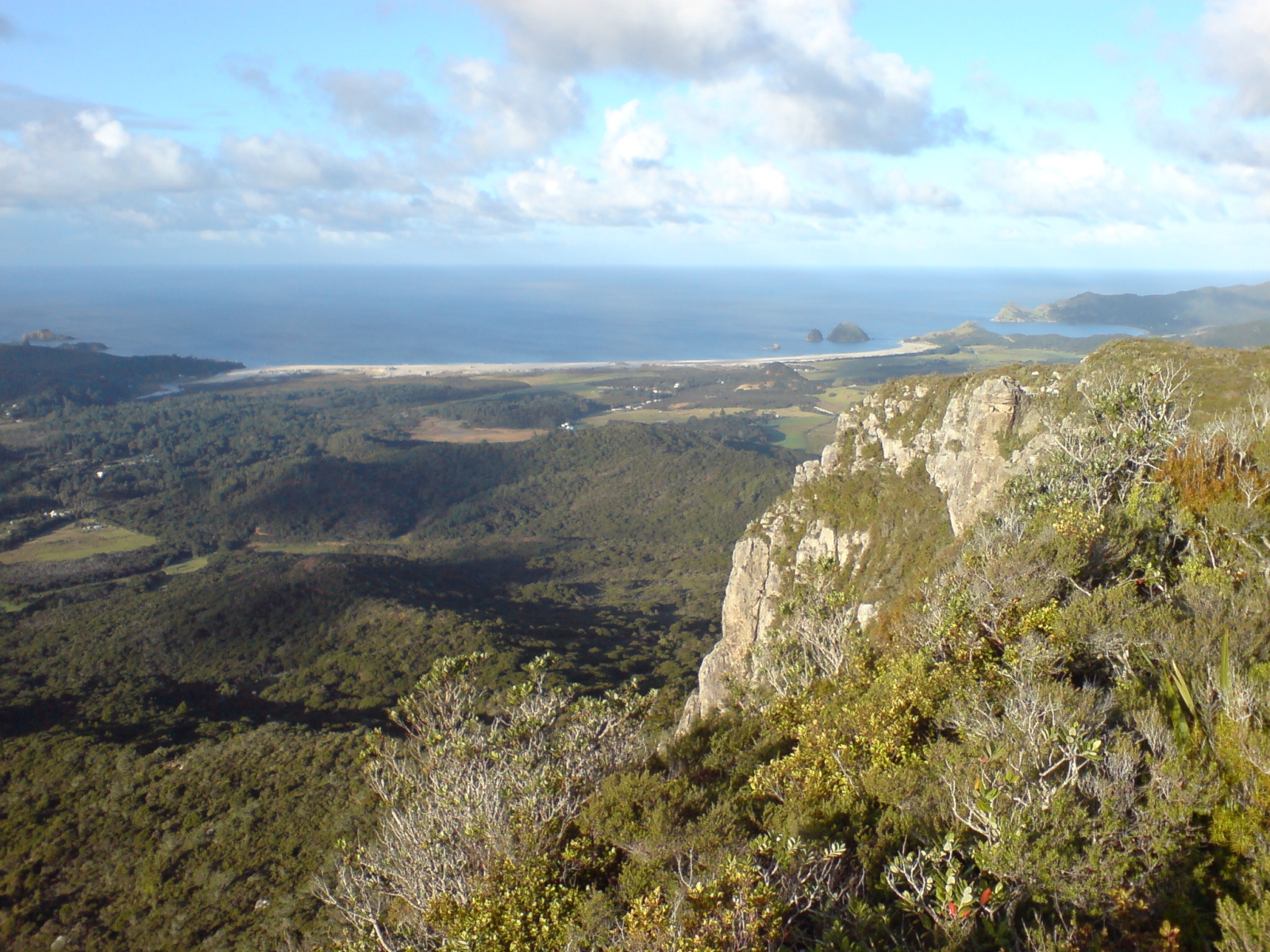 Les îles de Nouvelle-Zélande : nature sauvage et kiwis rares 26 Medlands Beach on Great Barrier Island, Nouvelle-Zélande