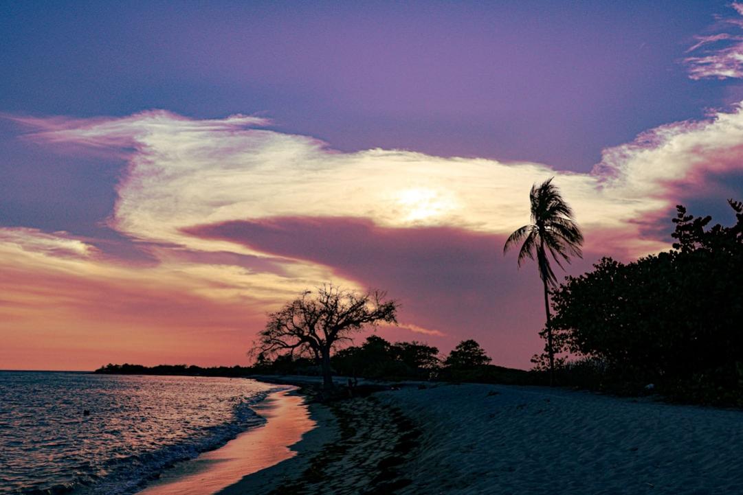 Palm Beach surroundings