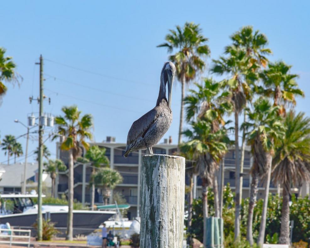 Palm Beach experiences