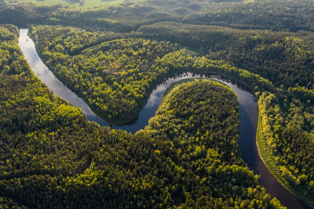 Les 15 Parcs Nationaux du Pérou : Séparer faune amazonienne et trekking andin 18 Parcs nationaux du Pérou