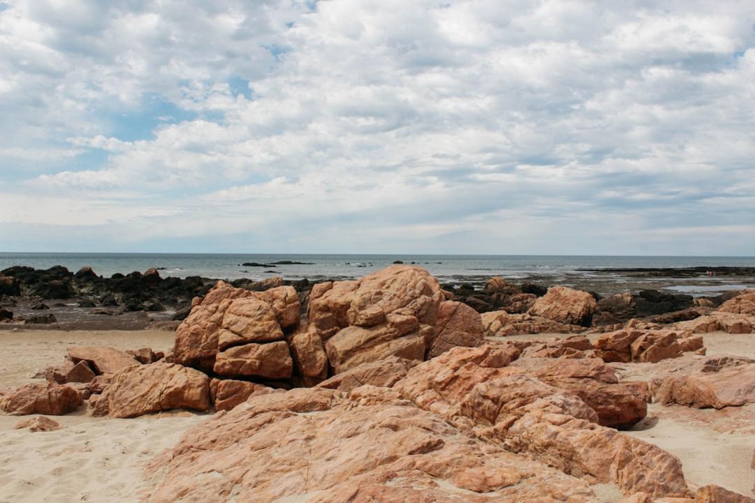 Punta Ballena highlights