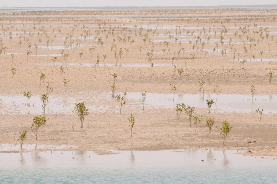 Parcs nationaux de la Thaïlande