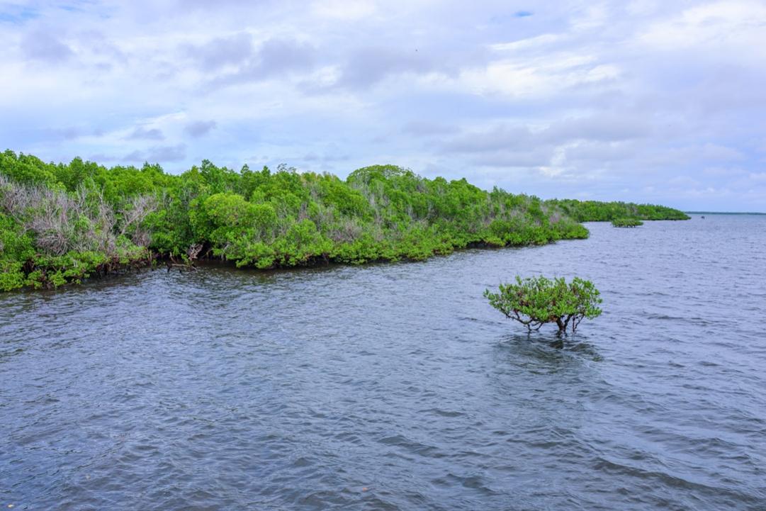 The 7 National Parks of Uruguay: Coastal Nature Escapes 8 Uruguay national parks