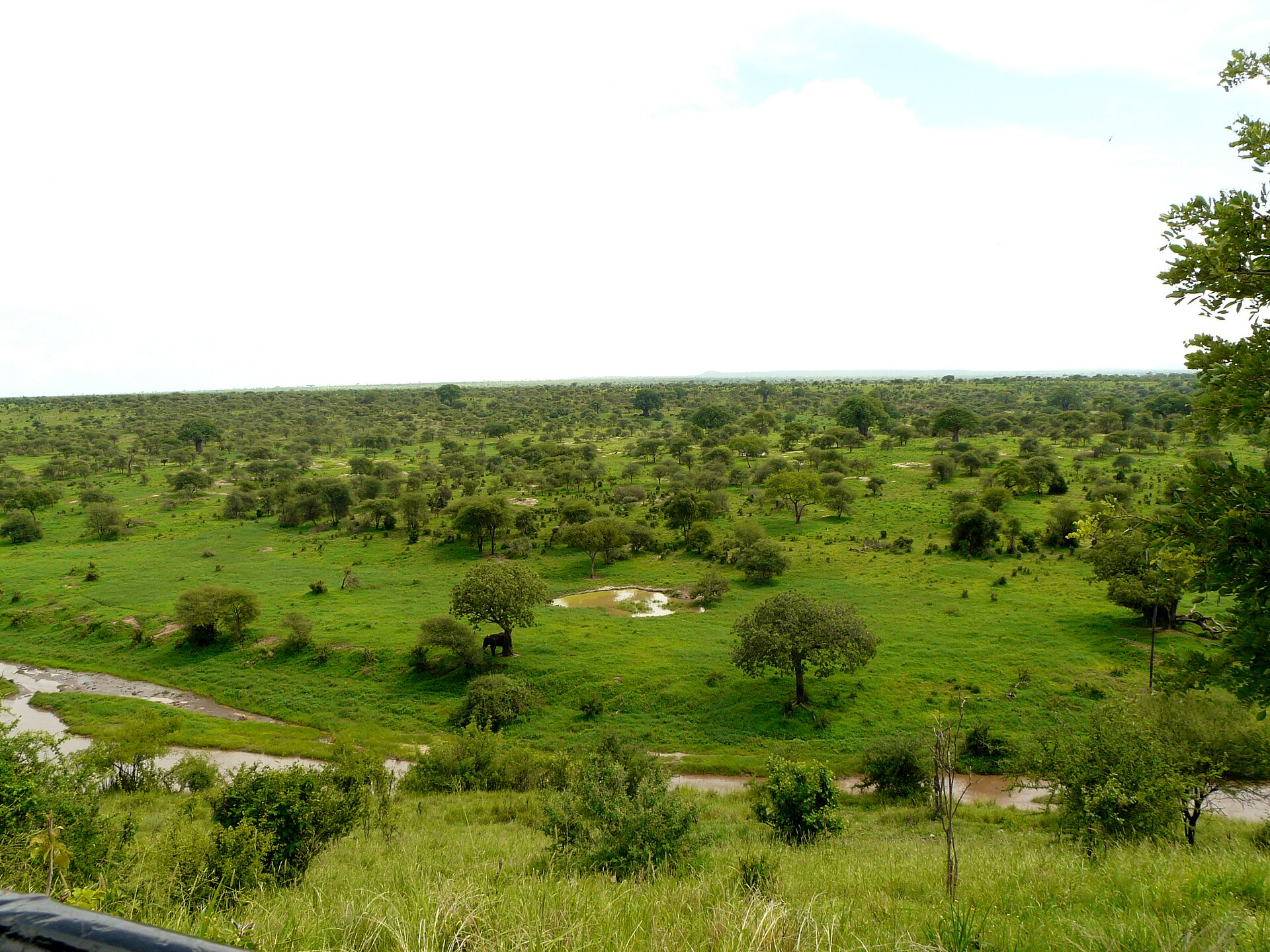 Tarangire National Park, Tanzania
