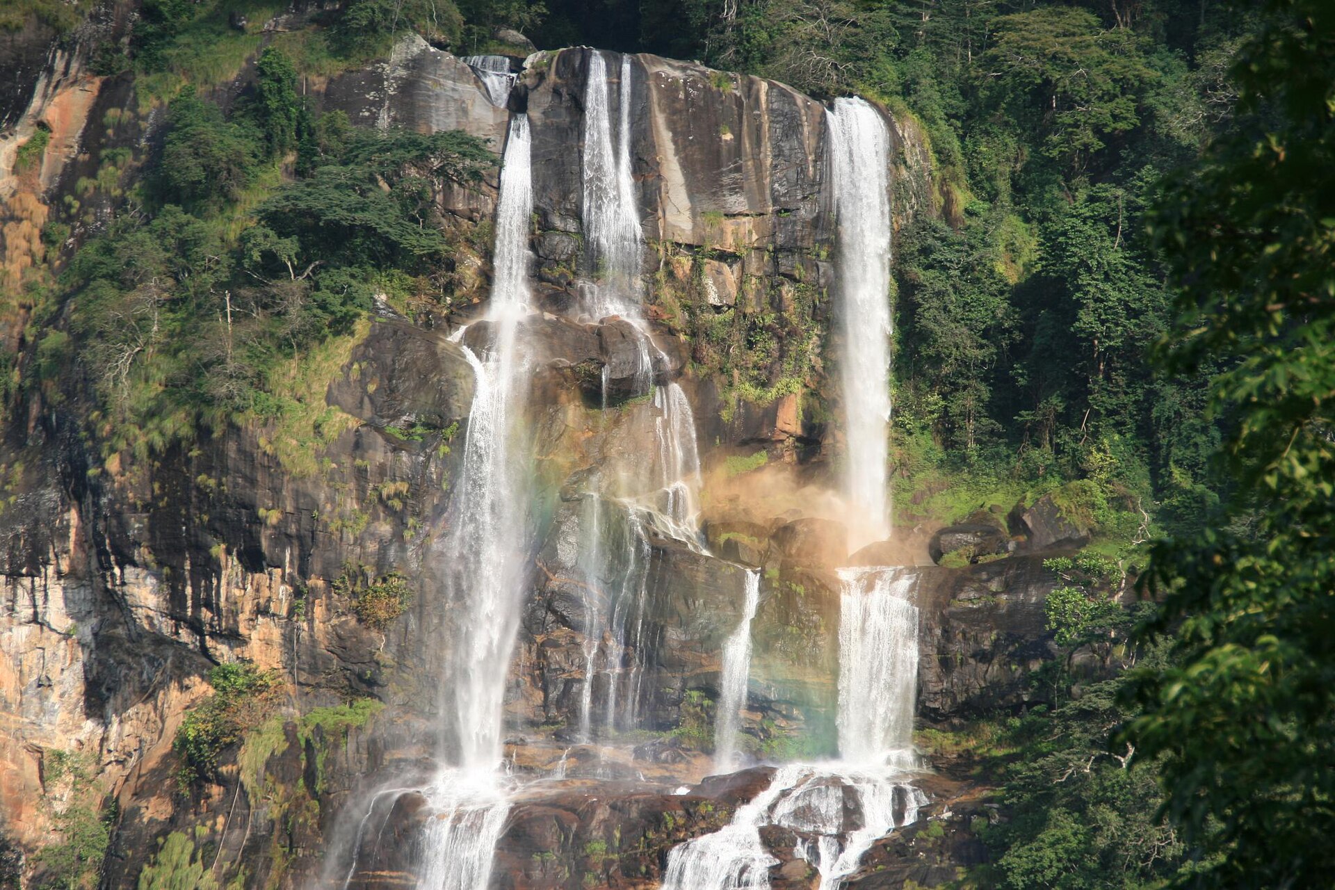 Top 6 Things to do in Udzungwa Mountains National Park 4 Udzungwa Mountains National Park, Tanzania
