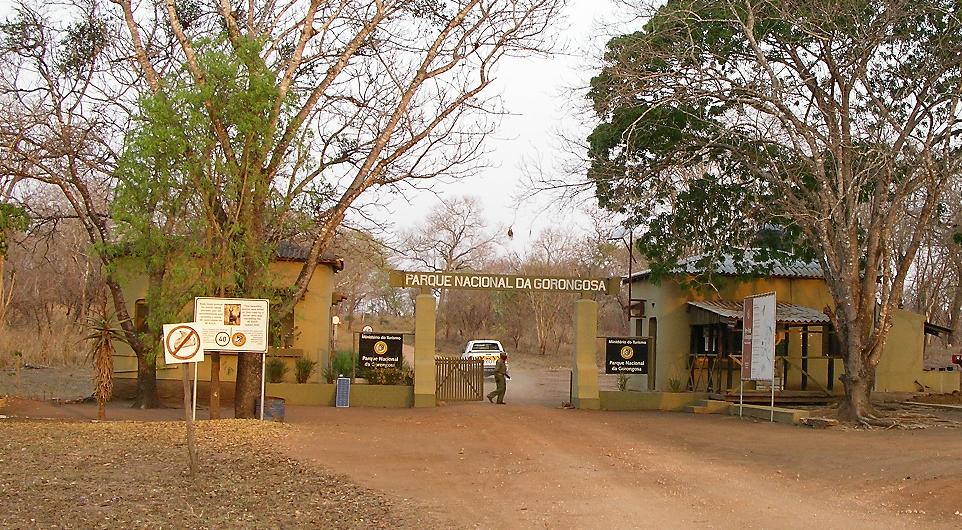 11 Things to do in Gorongosa National Park Wildlife Safari 3 Gorongosa National Park, Mozambique