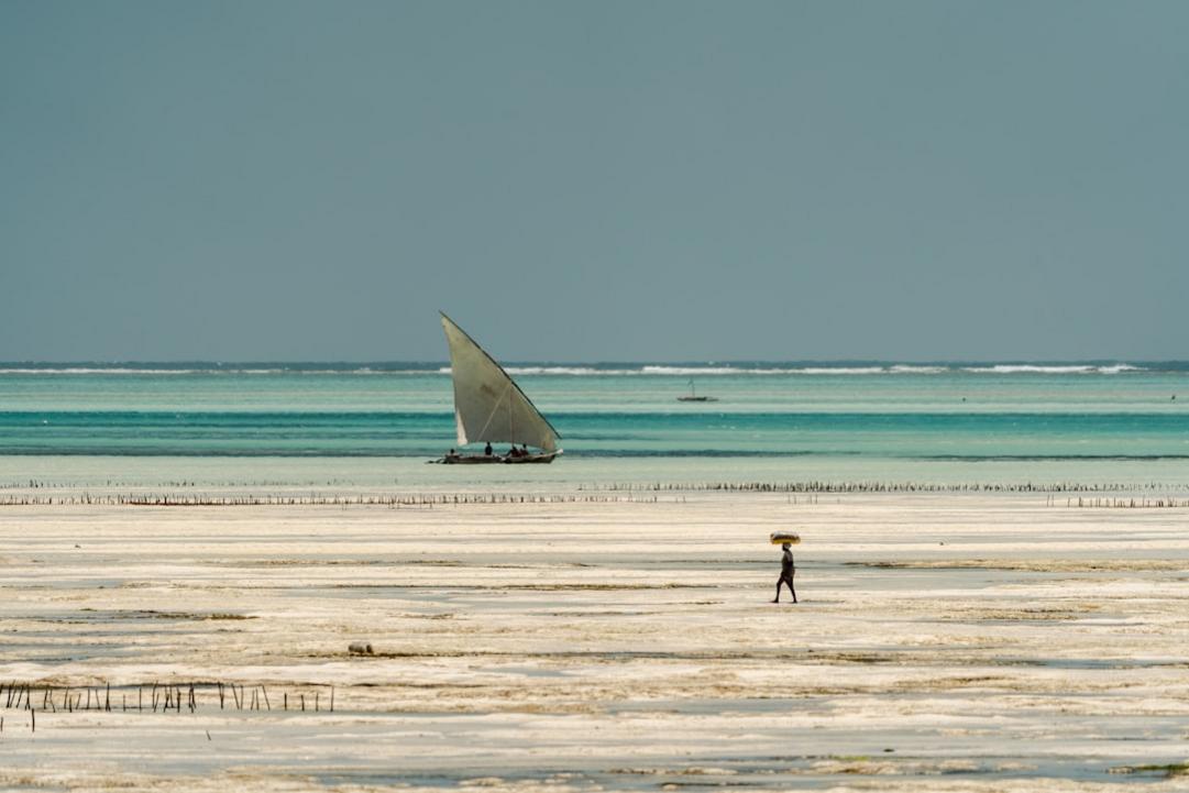 Top 5 Things to do in Jambiani - A Quiet Fishing Village 4 The sun sets over the quiet shores of Jambiani Beach, painting the sky in soft hues.