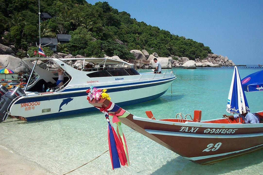 The salty breeze mixes with sizzling seafood aromas at Mae Haad Pier, where dive boats launch daily into clear waters.