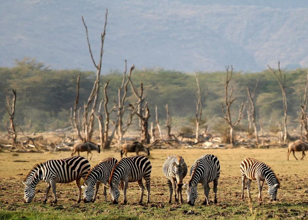 Lake Manyara National Park Tanzania header 1