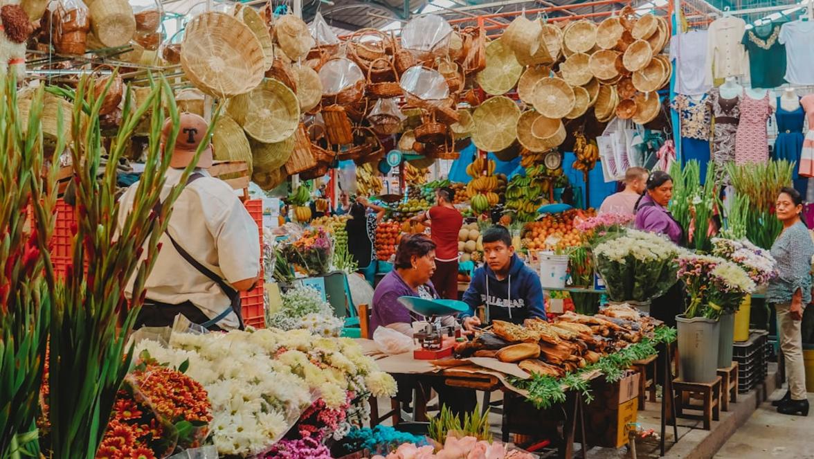 Vaccinations for Laos: Required and Recommended 5 Laos travel