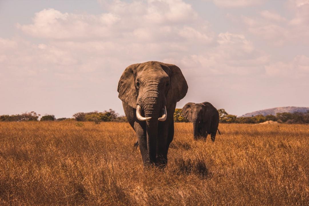 Mondulkiri highlights