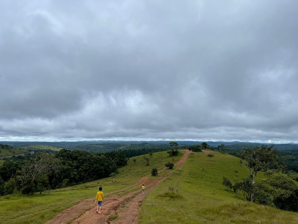 At the edge of the lush jungle, the sound of elephants trumpeting fills the air at the Elephant Valley Project.