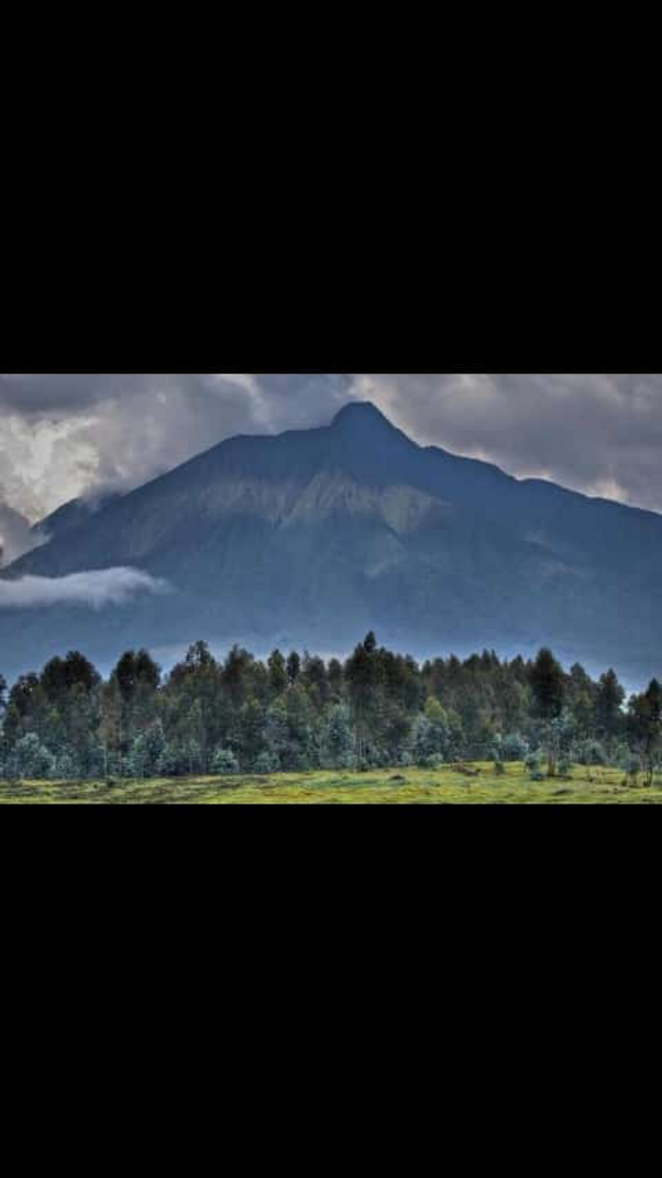 The crisp mountain air carries faint volcanic sulfur near the Musanze Caves entrance, where hikers gather before dawn.