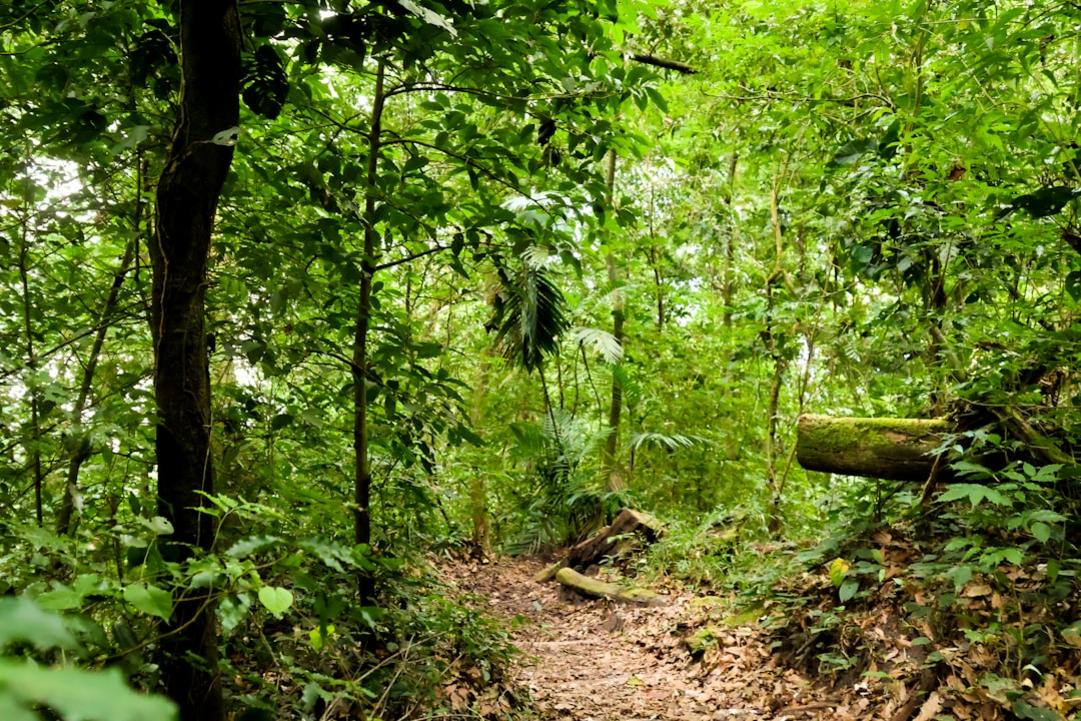 Rock Climbing in Phuket: Routes, Costs, and Tips for 2026 4 Rock Climbing - Phuket