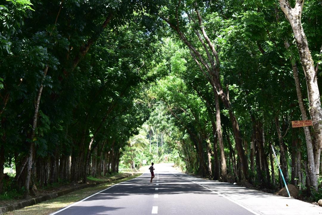 Driving in Philippines: Permit, Traffic and Safety 5 Philippines road