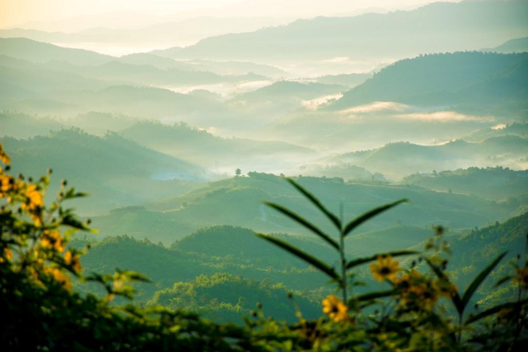 Top 5 Things to do in Surat Thani - Gateway to Gulf Islands 7 Surat Thani food