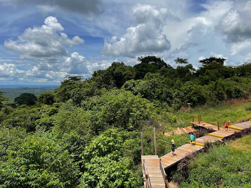 Top 6 Things to do in Anda - Coastal Town with White Sand 6 Anda accommodation