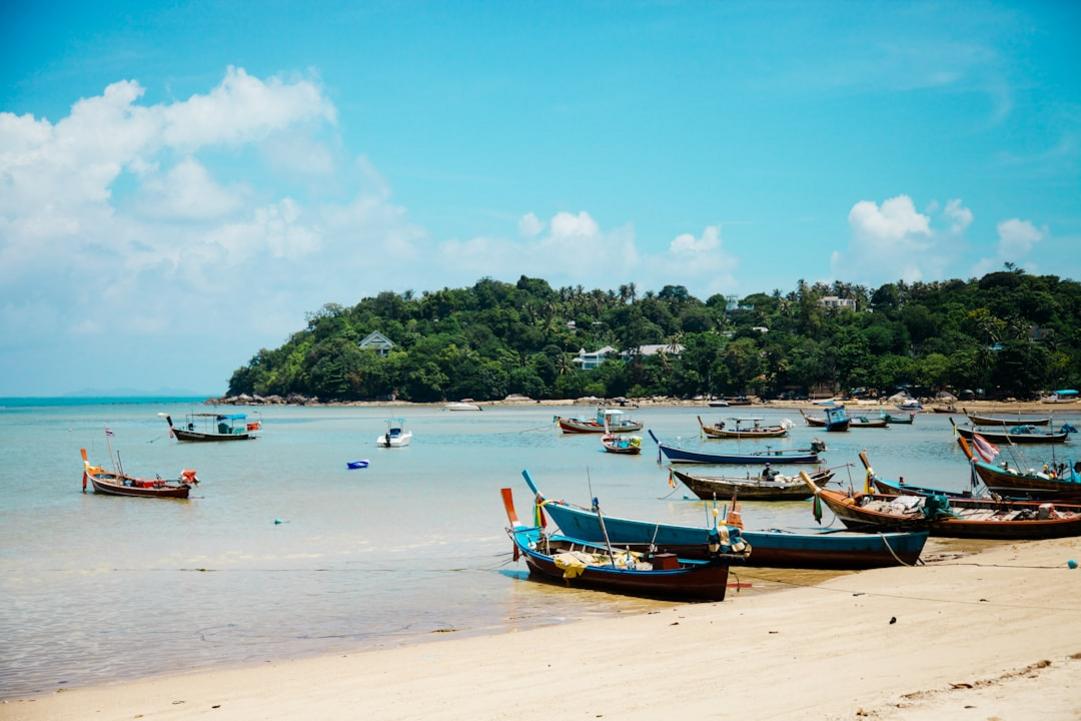 Experience Thailand's Vibrant Culture from Bangkok to Koh Phangan 14 Thailand temple bangkok 1 8