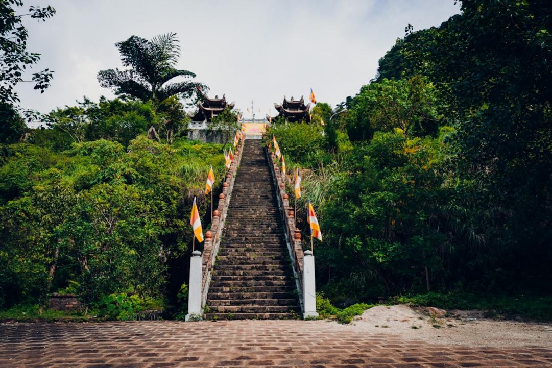 Rock Climbing in Krabi Thailand: Routes, Costs, and Tips 4 Rock Climbing - Krabi