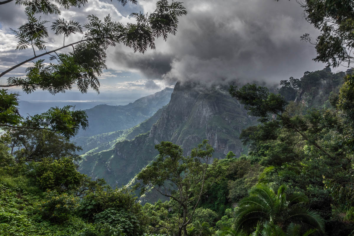 Explore Tanzania's 10 Mountains and Volcanoes 9 Forested peak of the Western Usambara Mountains, Tanzania