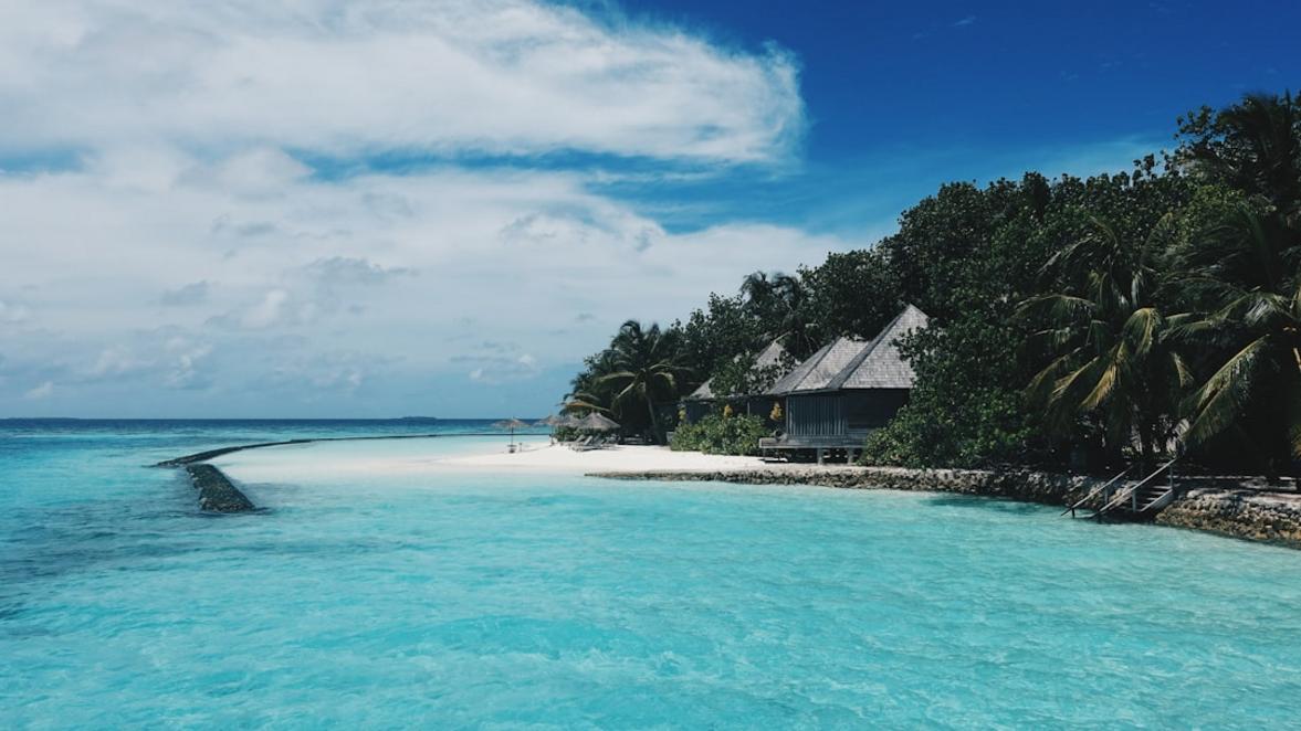 SIM card and eSIM in Maldives