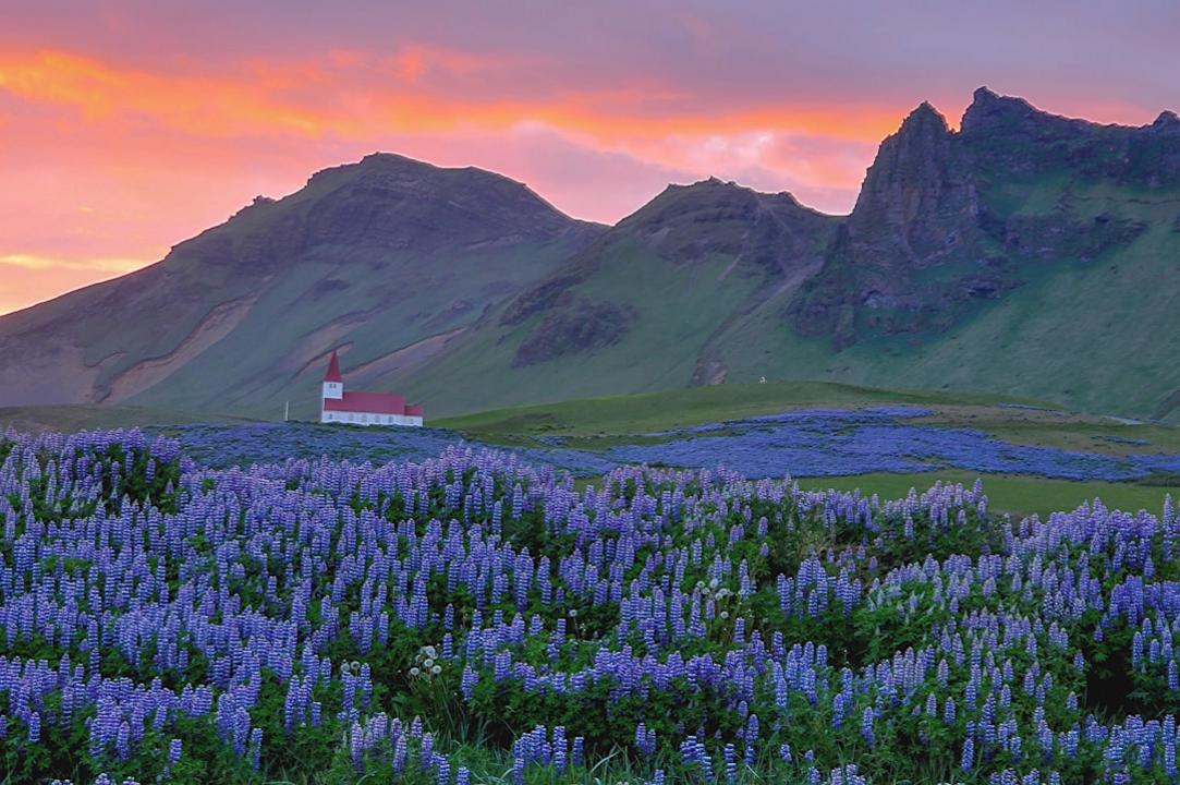 Stokksnes in Hofn Iceland: Scenic Headland and Vestrahorn 4 Stokksnes - Hofn