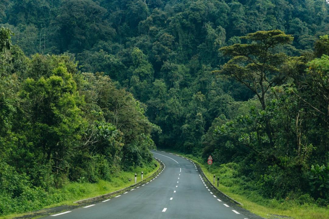Is Rwanda Safe? Risks, Scams and Safety Tips for Travelers 4 Rwanda travel