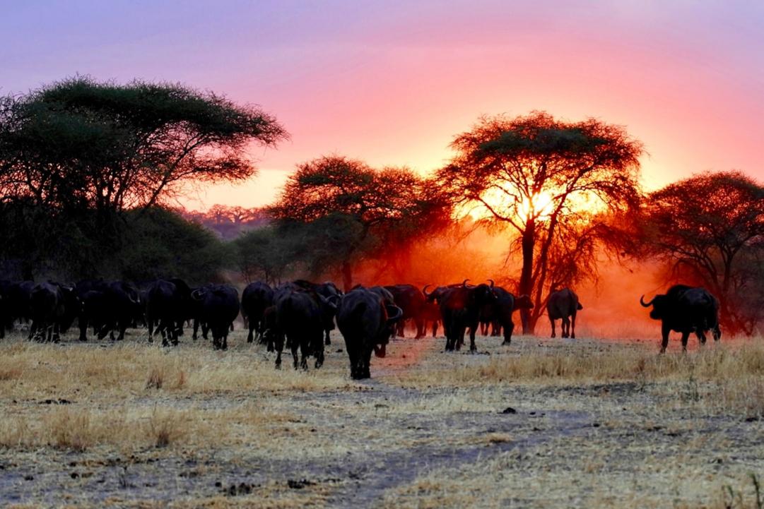 Rwanda travel