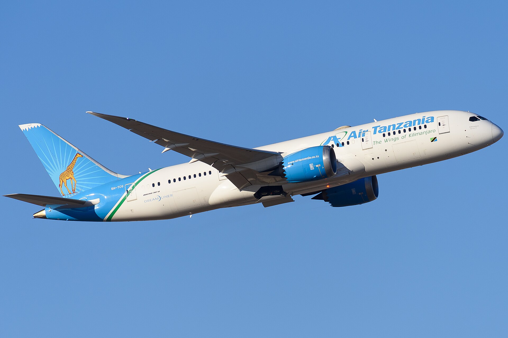 Domestic Flights Tanzania