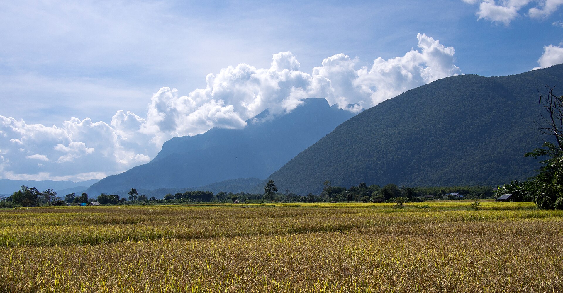 Ã€ l'aube, les brumes enveloppent le temple de la grotte de Chiang Dao, crÃ©ant une atmosphÃ¨re mystique.