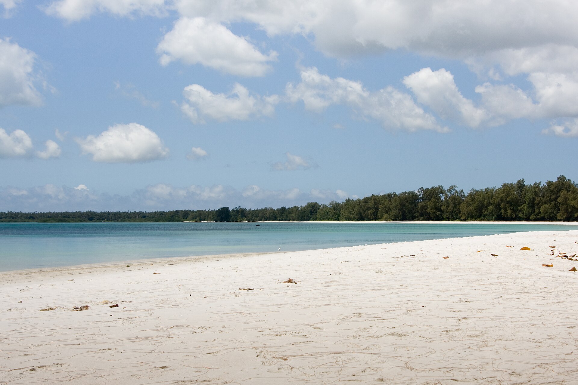 9 Things to do in Pemba Island: Dive Steep Reef Walls & Explore Clove Plantations 3 Pemba Island