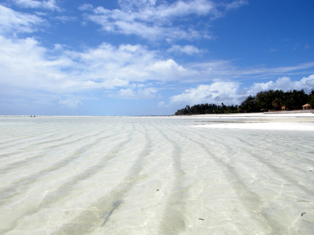 Paje Beach in Zanzibar 3 Paje Beach, Zanzibar